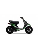 Graphic Kit BOOSTER AFTER 2004 Pornseries V2 Green Standard Scooter Graphic Kit