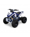 Kit Déco Quad Panthera 8 100% Perso