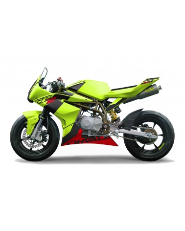 kit déco Ohvale 110-160 GP2 100% PERSO Kit Déco Pit-Bike 100% Perso