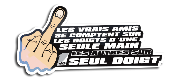 Kit déco Sticker Fuck les amis...
