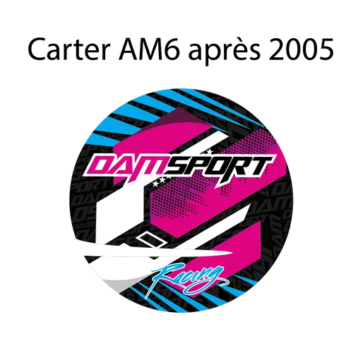 kit déco de carter dam sport racing am6 apres 2005